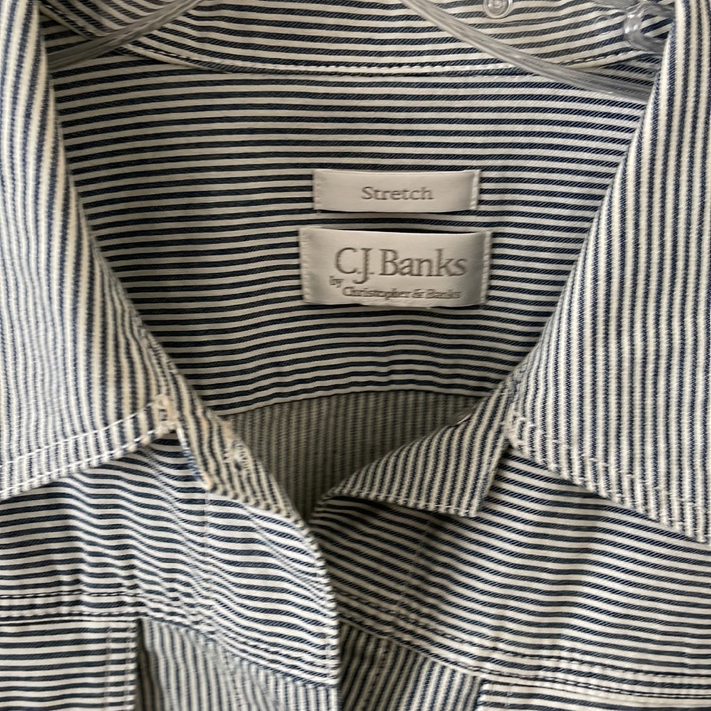 Pinstripe Jacket - image 2